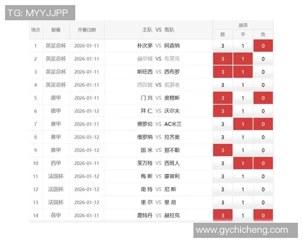 足总杯激战多特蒙德逆转那不勒斯全场沸腾数据分析揭示关键时刻