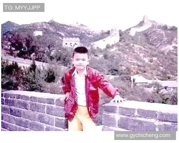 青虫姚明的成长之路与篮球梦想的奇幻交织